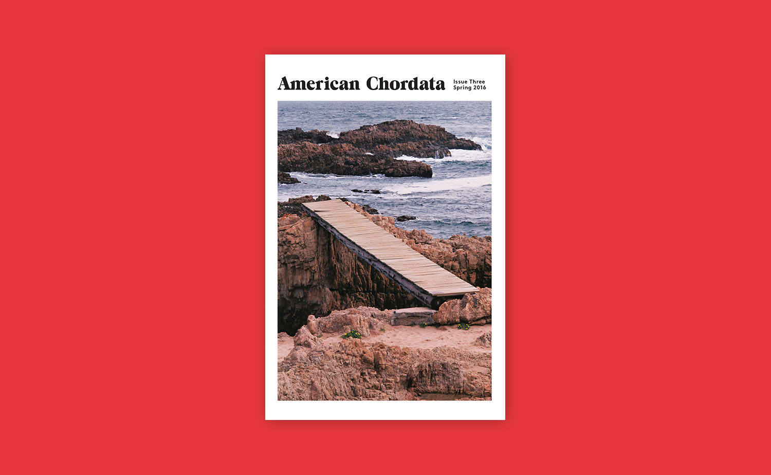 American Chordata